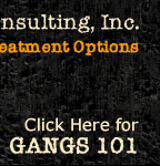 Methamphetamines Meth 101 Ice